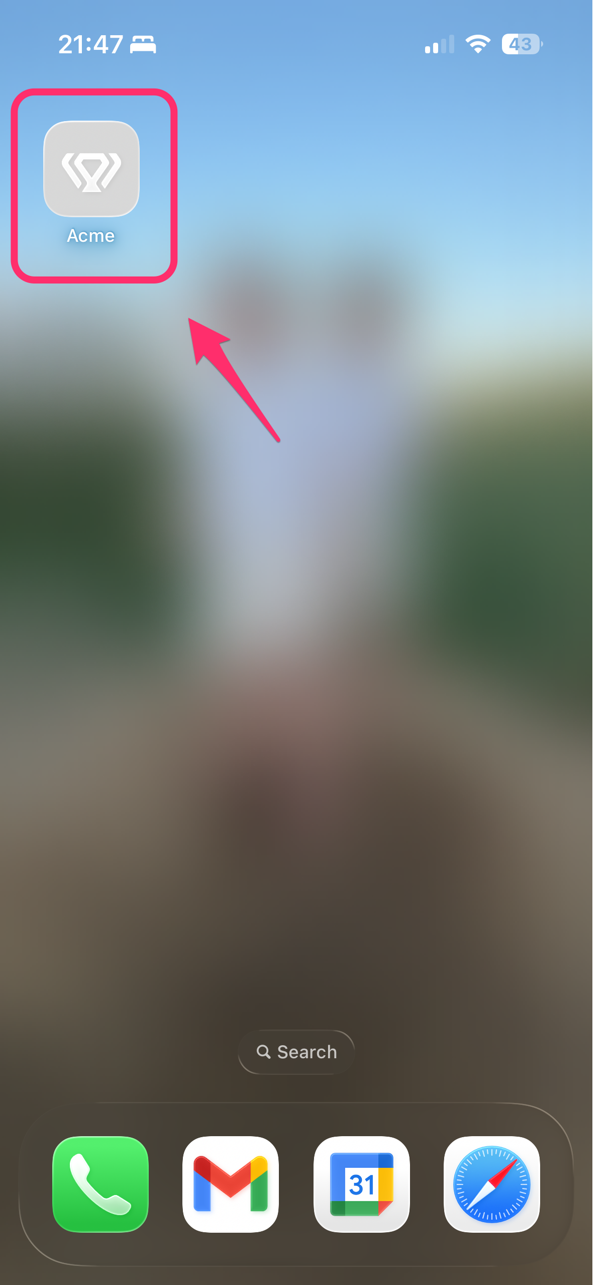 Icono de la app instalada en la pantalla de inicio del iPhone